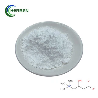 Polvo de suplemento de L carnitina