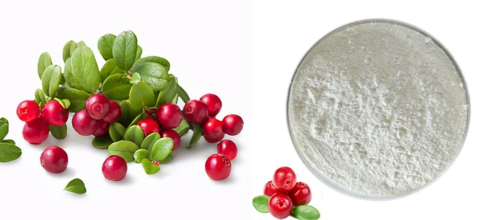 product-1600-700 product-1600-700