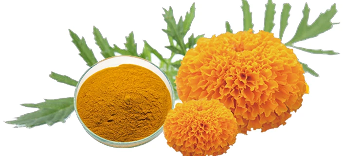 Lutein 10 powder