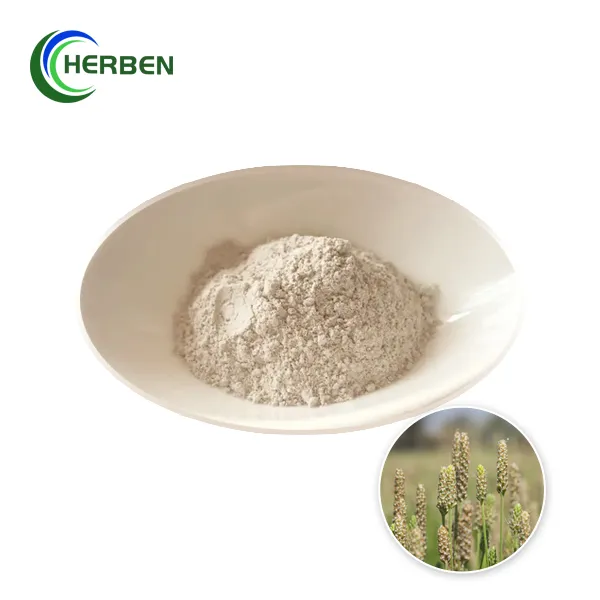 Polvo puro de cáscara de psyllium