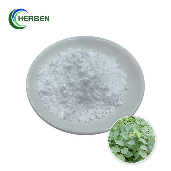 Polvo de resveratrol puro