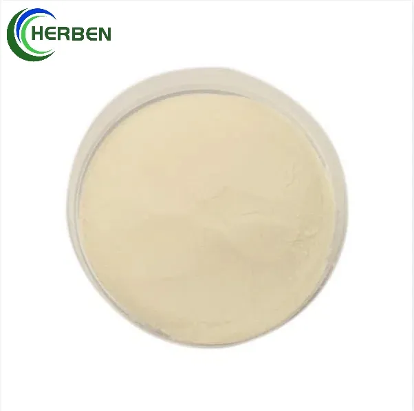 Carboximetil quitosano